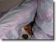 kouk�m kouk�m a pak najednou spink�m