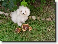 n�e nejlep�� hleda�ka hub