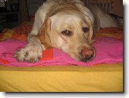 Meginka odpo��v�