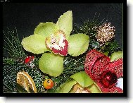 V�no�n� orchidej