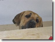 Nen� tam n�co dobr�ho ?