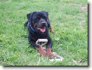 Vhr�l jsem ! ! ! Jsem hrdina :o)