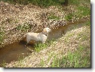 J���, co to tam je??