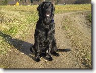 Co to tam vid�m???