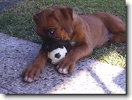 jednou ze m� bude velk� fotbalista