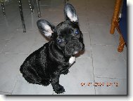 miloucka,sladka,proste na�e