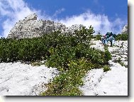 Kamnick� Alpy