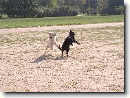 Dov�d�n� venku