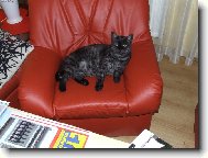 �e jsem ale fe��k