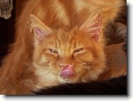 ...furt bysem n�co jed�...