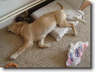 Takhle sp�m j� a Ty?