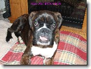 M�ma n�co taj�!