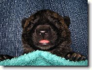 P���t...sp�m...