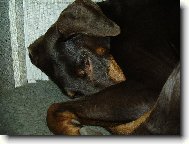 na�i mil��kov�