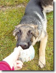 J� to nepust�m! A co ty?