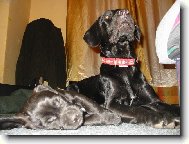 matka se �t�n�kem