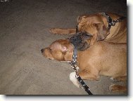 B�rt s k�mo�em