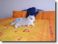 M�dn� p�ehl�dka