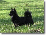 Alva a Barborka z T�eba�sk�ho �dol�