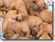 Tulen� �t���tek