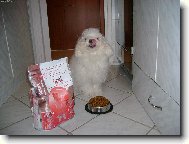 m�m r�da svoje granulky