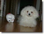 um�l� a �iv�