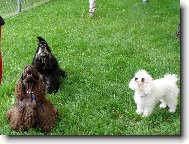 Jessin�ina sme�ka