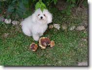 Jessinka s prav�ky