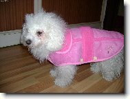 m�m nov� kab�tek