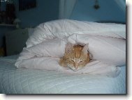 douf�m, �e m� tu nenajdou...