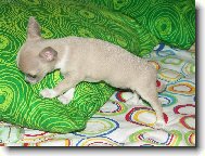 �uch�m, �uch�m..