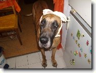 Pro� to nem�m sly�et?