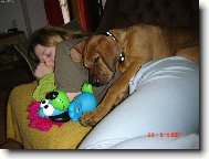 Po dobr�m ob�d� mal� �lof��ek neu�kod�