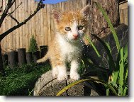 tady se mi bude l�bit