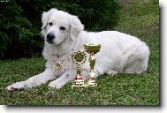 Essy B�l� kr�lovstv�