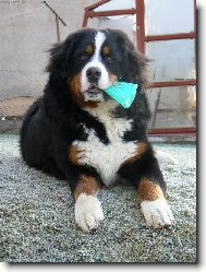 Tady vl�dnu j� :)