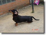 Na�e Dorotka Kv�t�kov� princezna