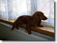 moje nejobl�ben�j�� m�ste�ko