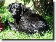 Odpo�inek po koupeli v �ece