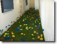 Rostlina p��t�ho stolet�