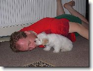 N� �um��ek....