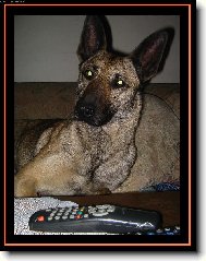 Pust�me si n�co?