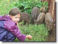 Mark�tka a divo��ci