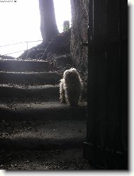 Akim 2006 posledn� v�let do p��rody