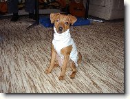 Sindy v �ati�k�ch