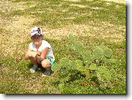 Tomu ��kaj� dovolen�?Kaktusy a zase kaktusy.