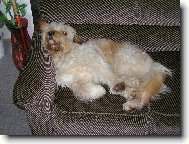 Pohoda,kl�dek a leh�ro . . .