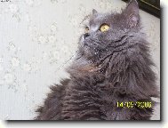 Na�e hrab�nka Mazl�k