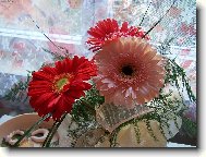 KYTI�KA K NAROZENIN�M