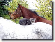 Nejkr�sn�j�� pohled je z ko�sk�ho h�betu (nav�c to odspoda h�eje)!